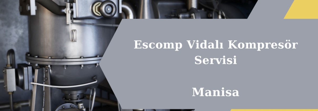 Escomp Vidalı Kompresör Servisi Manisa