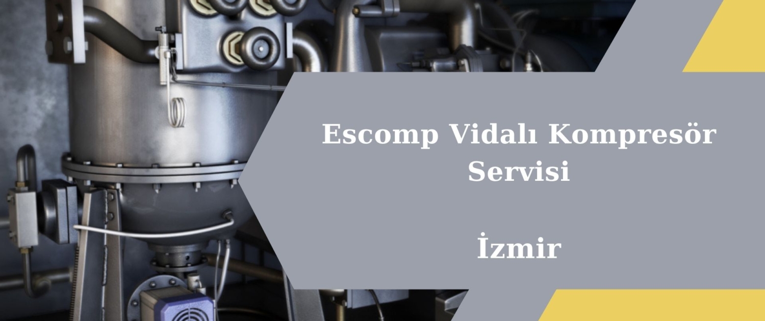 Escomp Vidalı Kompresör Servisi İzmir